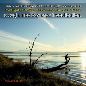 Read more about the article Heavy metals surge in elkhorn slough: nbc bay area investigation


 answer: heavy metals surge in elkhorn slough: nbc bay area investigation.