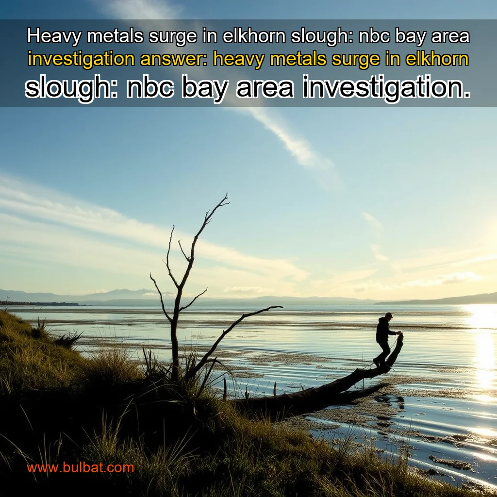 You are currently viewing Heavy metals surge in elkhorn slough: nbc bay area investigation


 answer: heavy metals surge in elkhorn slough: nbc bay area investigation.