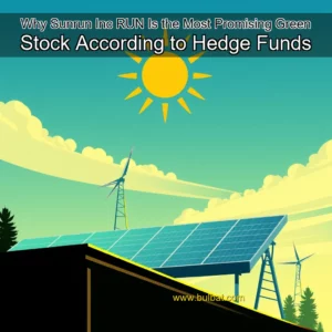 Read more about the article Why Sunrun Inc   RUN  Is the Most Promising Green Stock According to Hedge Funds