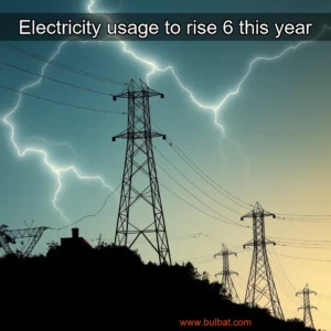 Read more about the article Electricity usage to rise 6  this year