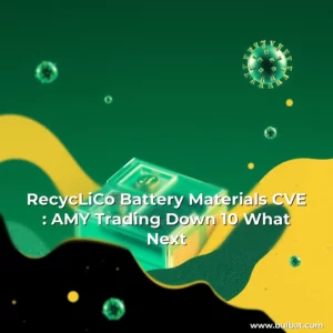 Read more about the article RecycLiCo Battery Materials  CVE : AMY  Trading Down 10   What Next