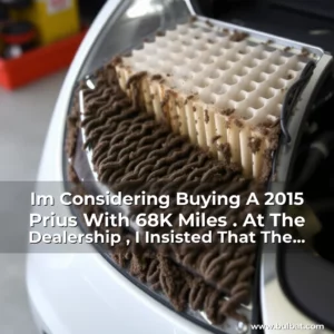 Read more about the article Im Considering Buying A 2015 Prius With 68K Miles . At The Dealership , I Insisted That The Service Staff Check On The Battery Fan Filter . It Was Pretty Dirty . The Owner Hadnt Cleaned It In 10 Years . Is This A Red Flag In A 2015 Prius ? 2015 Prius Battery Fan Filter Concerns!?